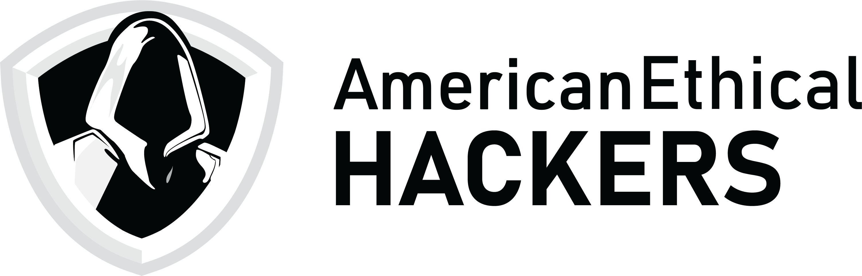 American Ethical Hackers